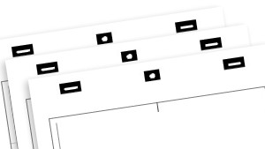 Forest and mountains